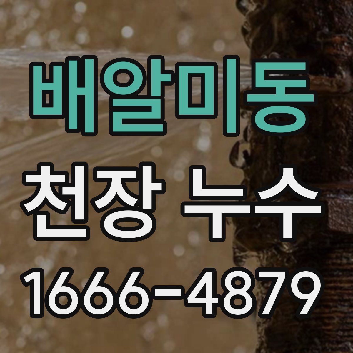 배알미동 천장 누수