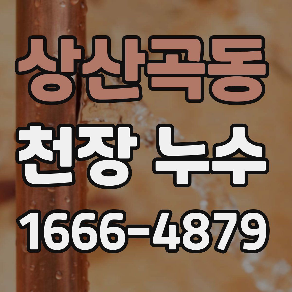 상산곡동 천장 누수