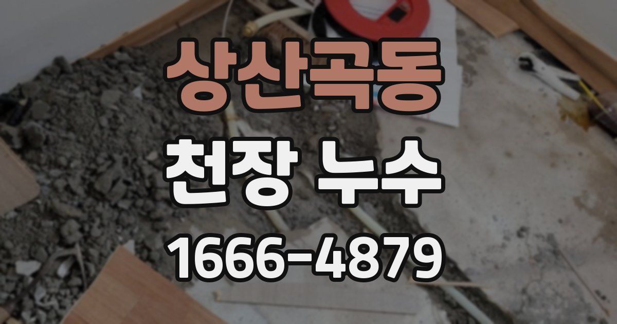 상산곡동 천장 누수