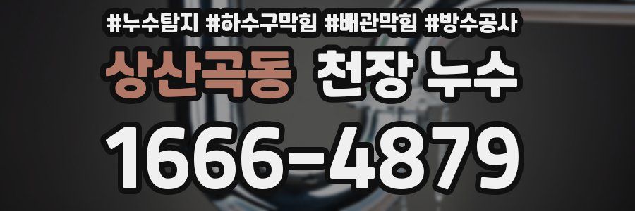 상산곡동 천장 누수
