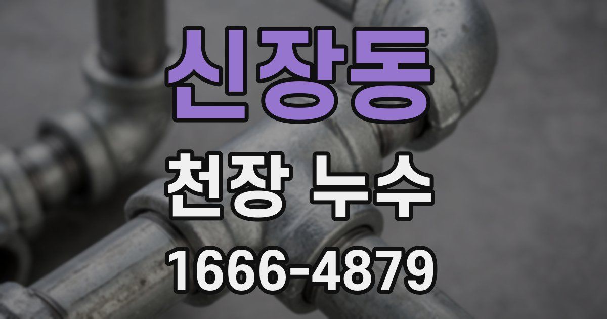 신장동 천장 누수