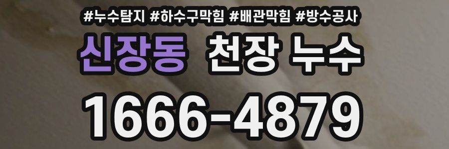 신장동 천장 누수