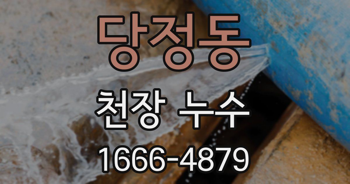 당정동 천장 누수