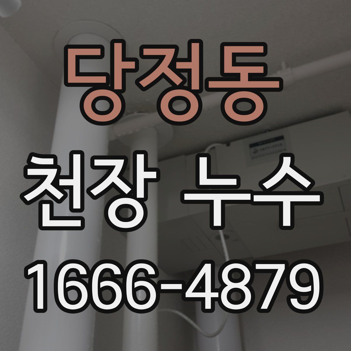 당정동 천장 누수