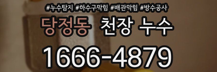 당정동 천장 누수