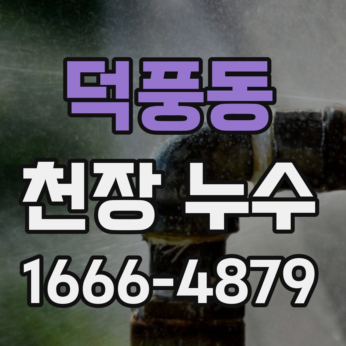 덕풍동 천장 누수