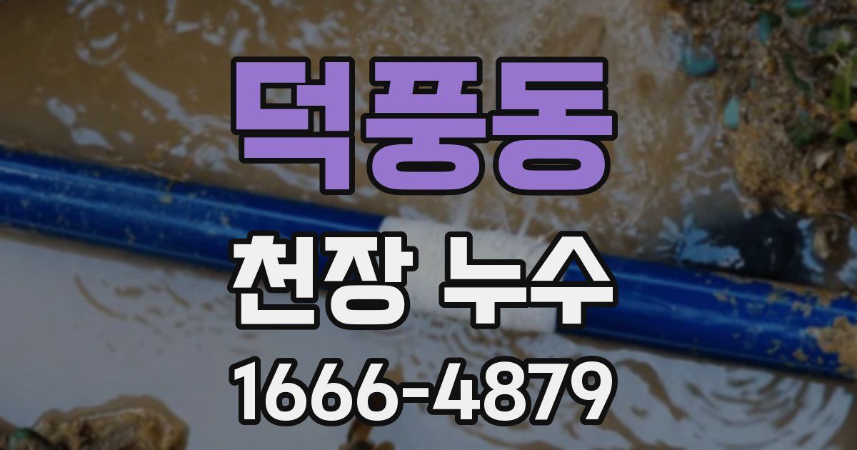 덕풍동 천장 누수