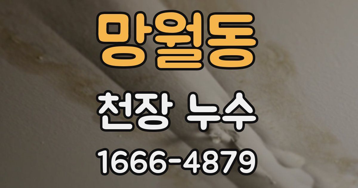 망월동 천장 누수