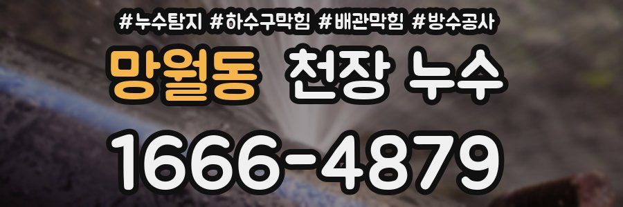 망월동 천장 누수