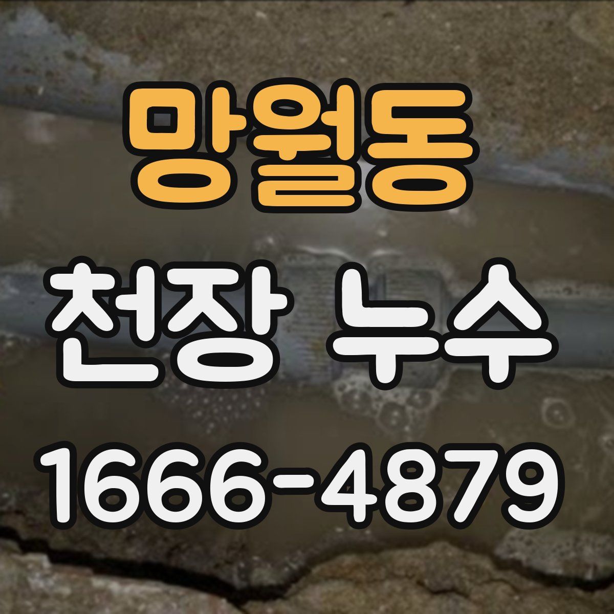 망월동 천장 누수