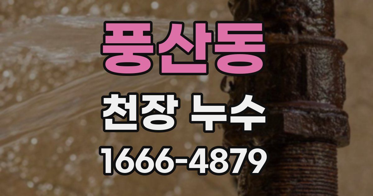 풍산동 천장 누수