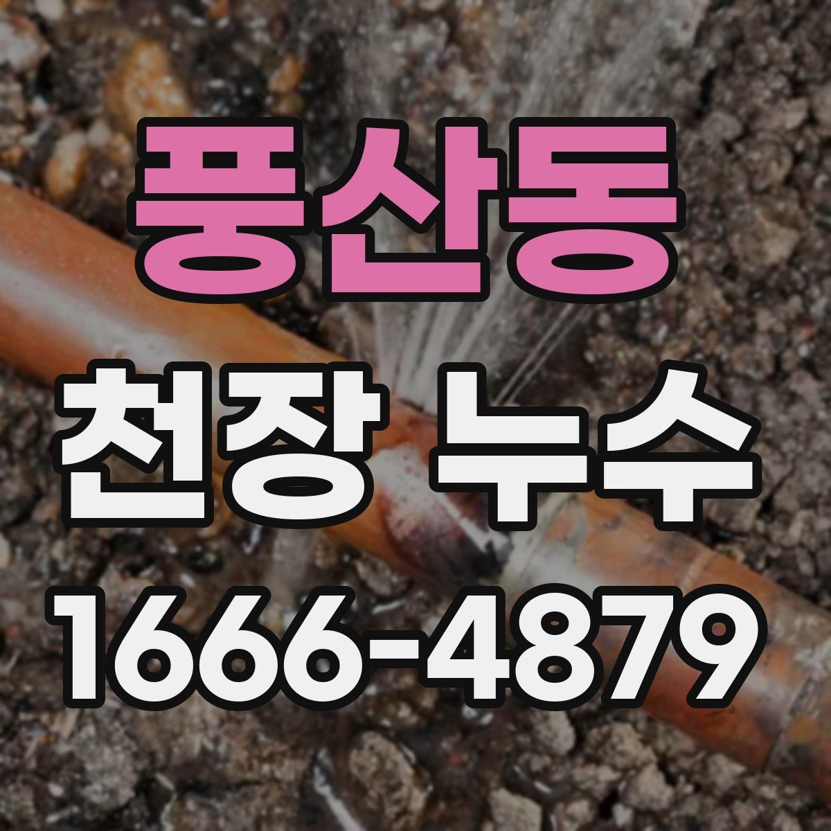 풍산동 천장 누수