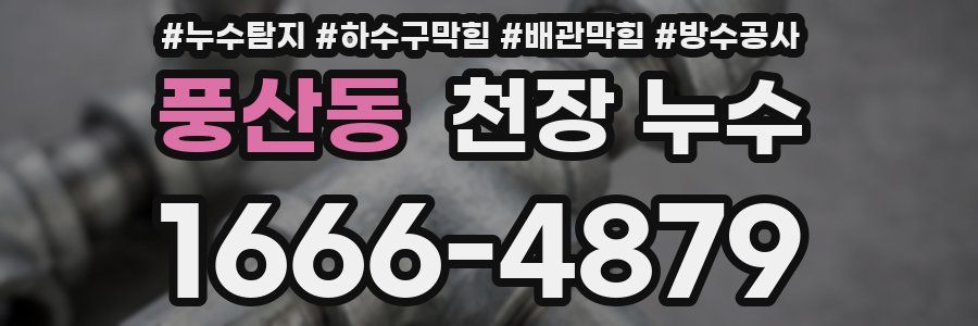 풍산동 천장 누수