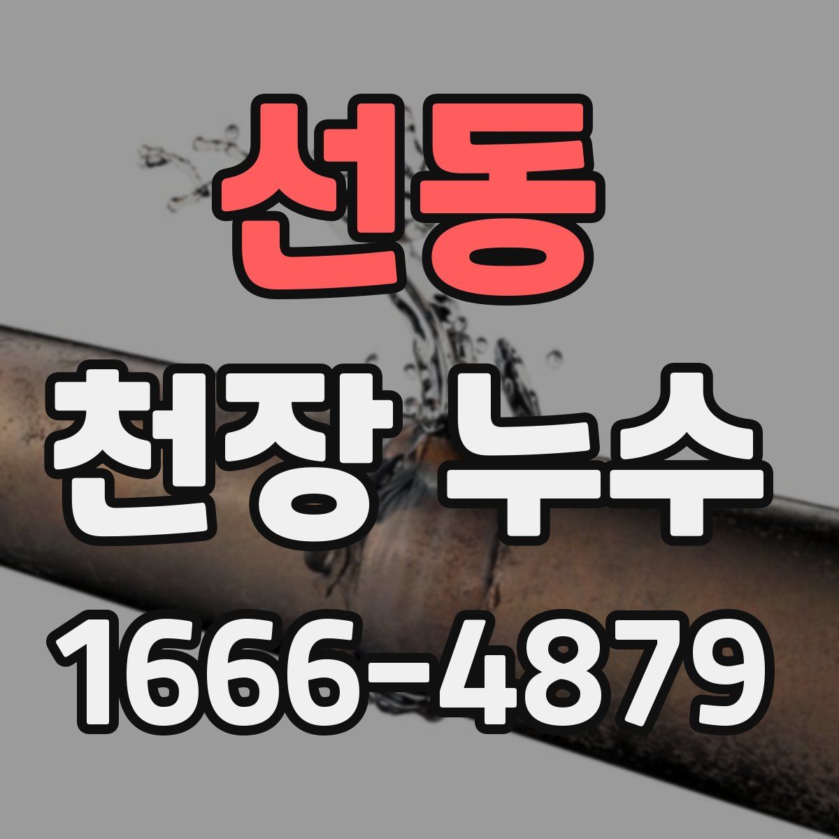 선동 천장 누수