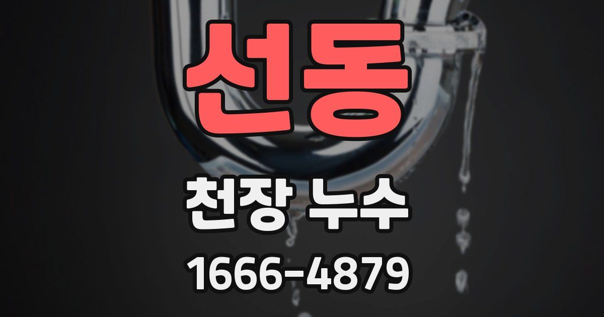 선동 천장 누수