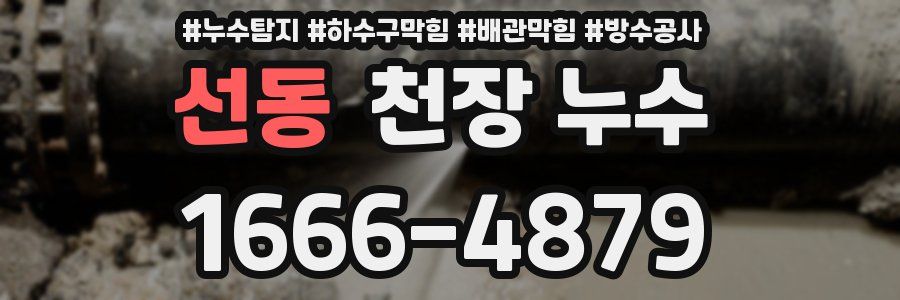 선동 천장 누수