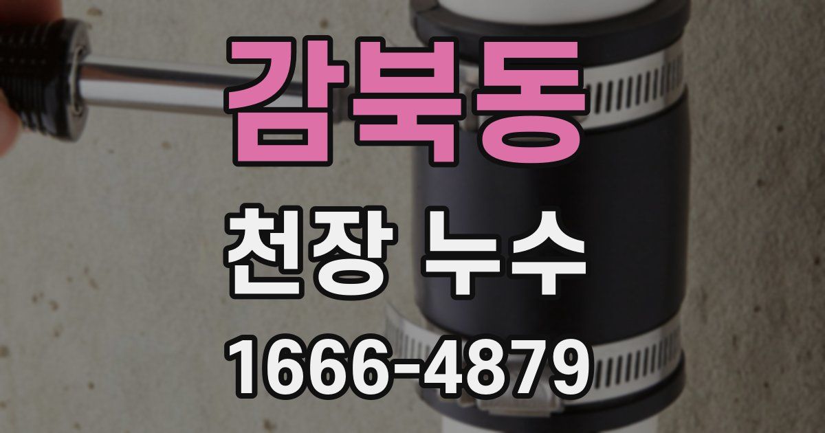 감북동 천장 누수