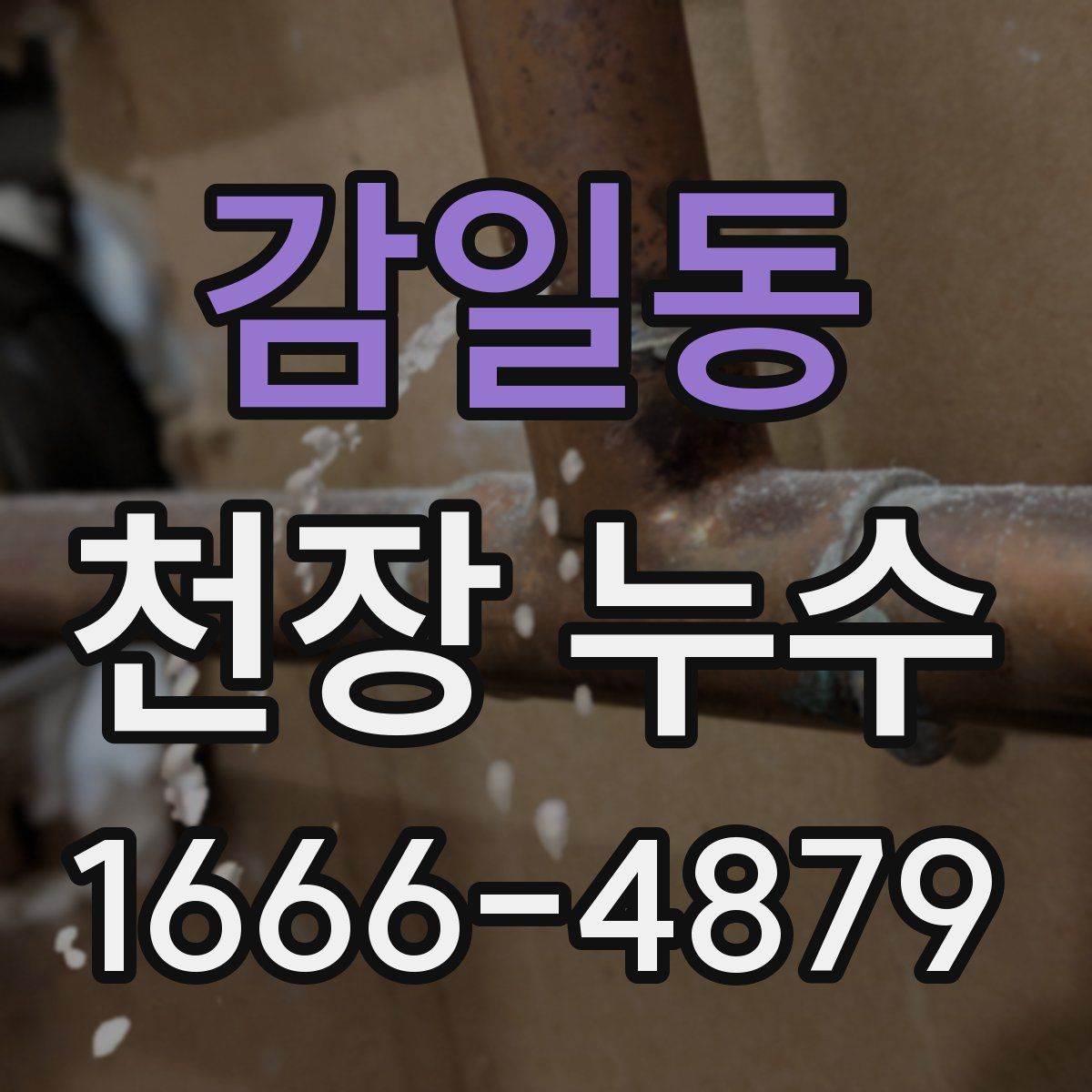 감일동 천장 누수