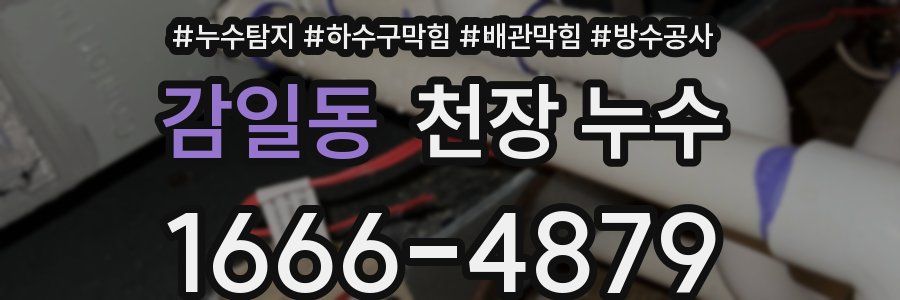 감일동 천장 누수