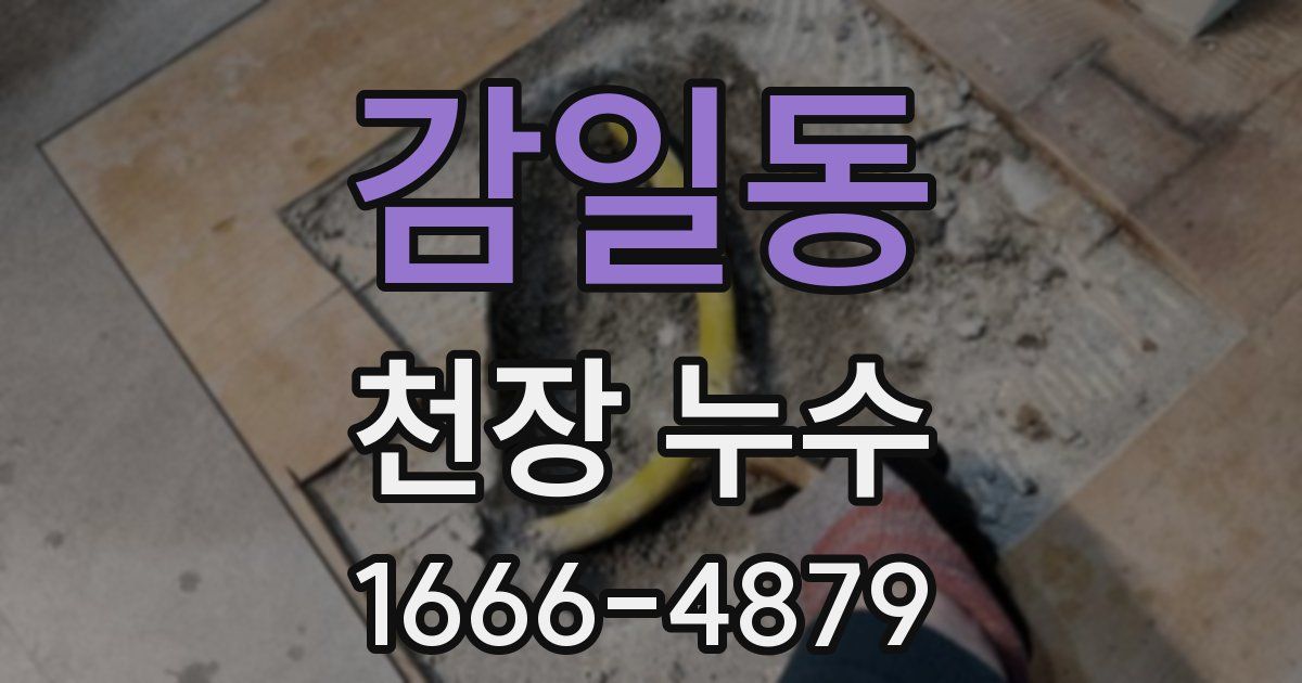 감일동 천장 누수