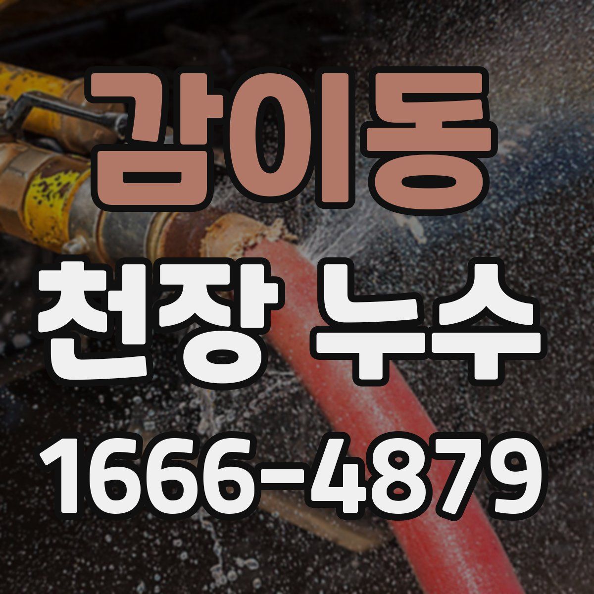감이동 천장 누수