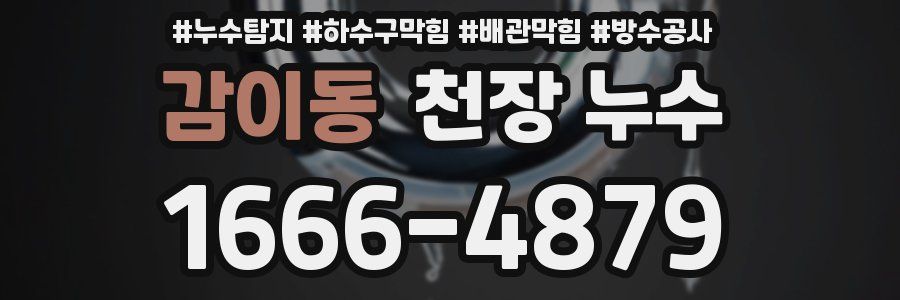 감이동 천장 누수
