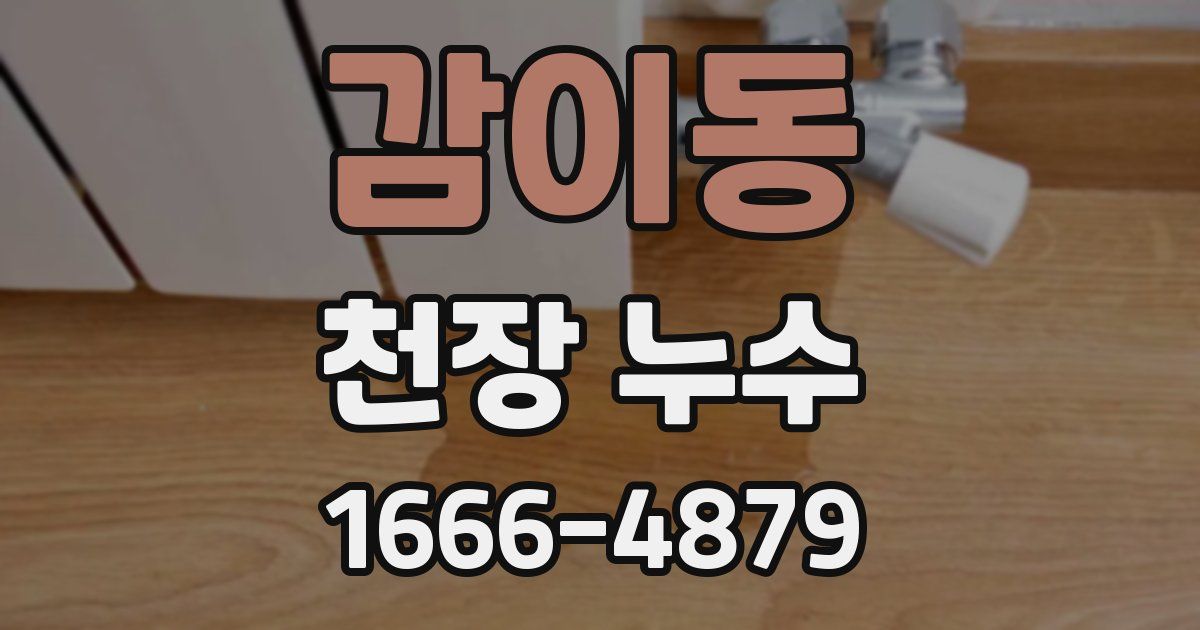 감이동 천장 누수