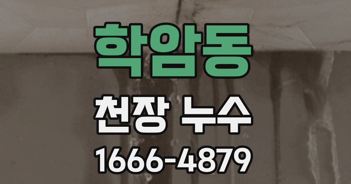 학암동 천장 누수