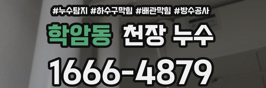 학암동 천장 누수