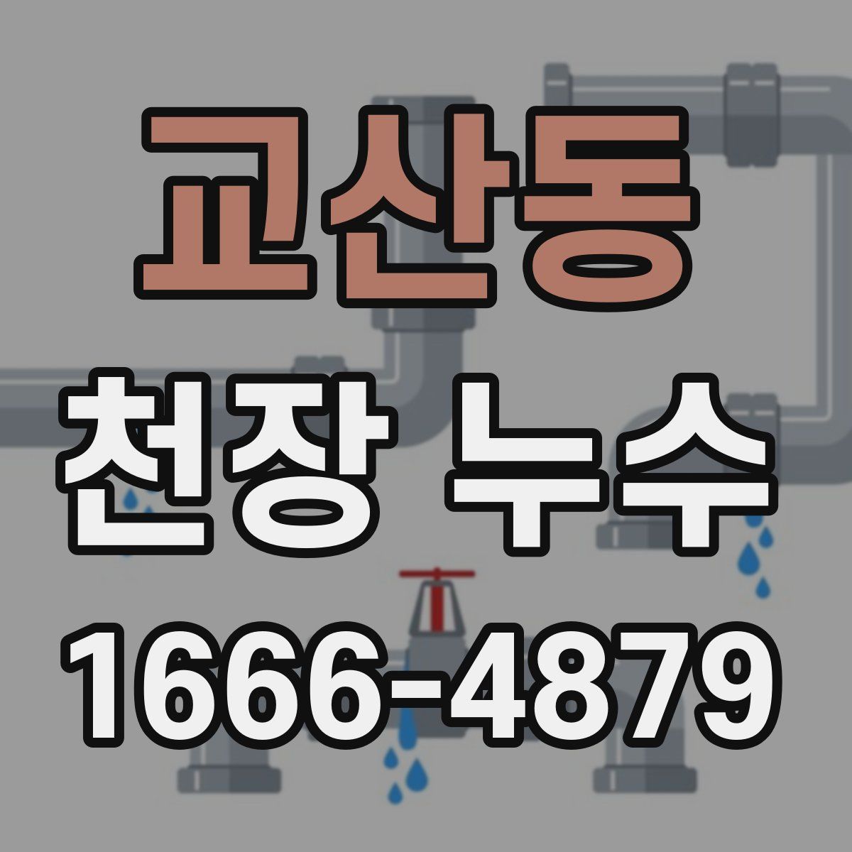 교산동 천장 누수