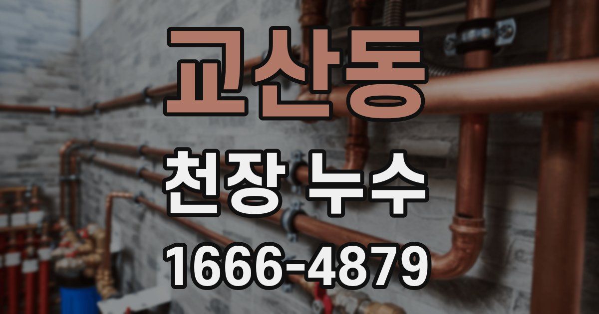 교산동 천장 누수