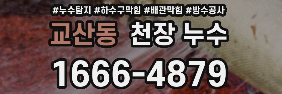 교산동 천장 누수