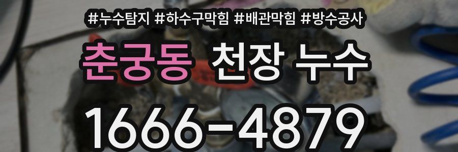 춘궁동 천장 누수