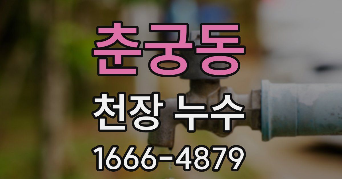춘궁동 천장 누수