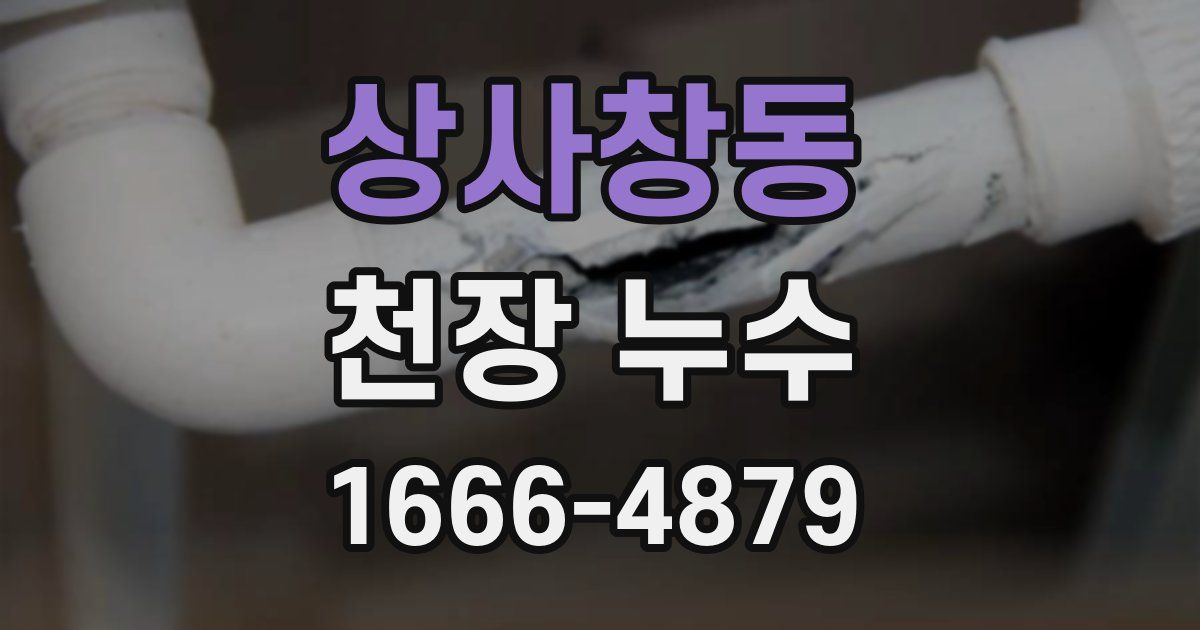 상사창동 천장 누수
