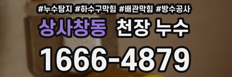 상사창동 천장 누수