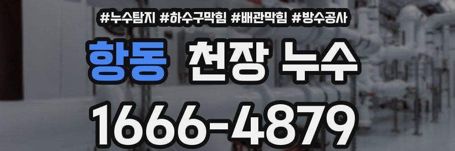 항동 천장 누수