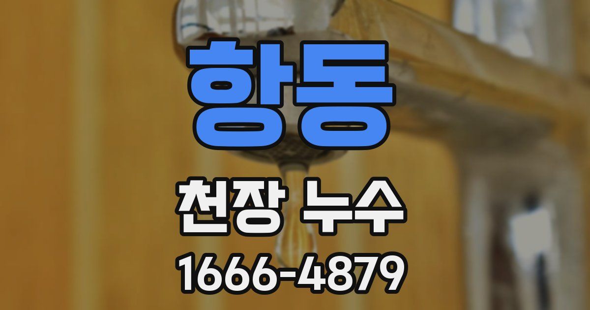 항동 천장 누수