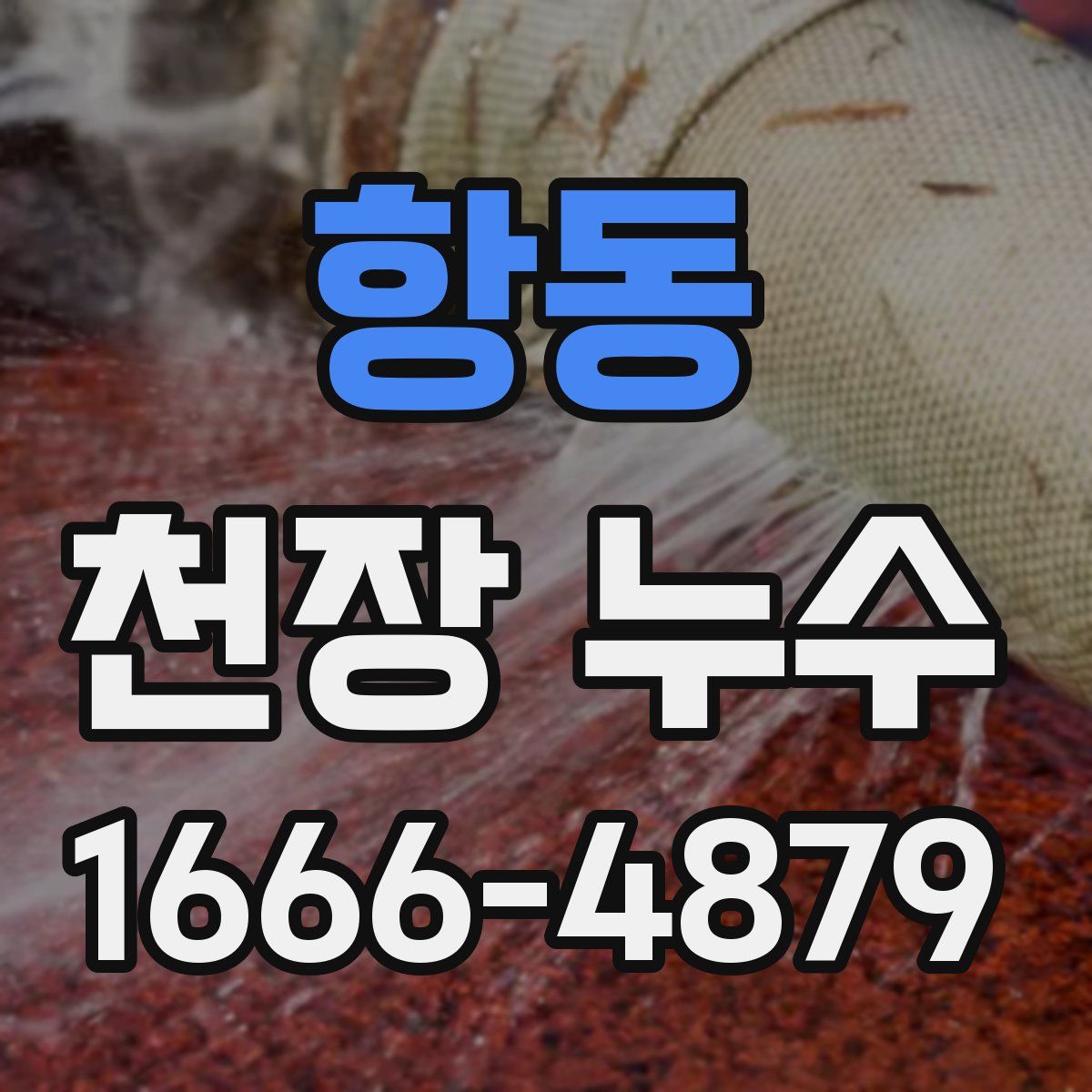 항동 천장 누수