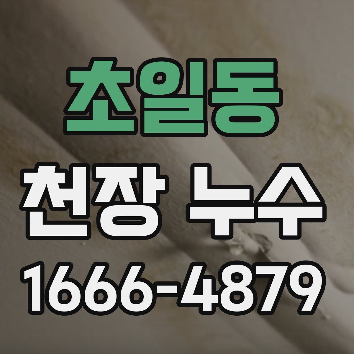 초일동 천장 누수