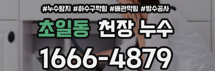 초일동 천장 누수