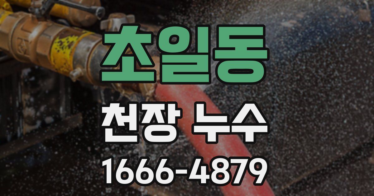 초일동 천장 누수