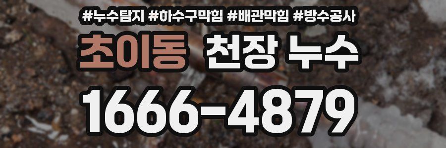 초이동 천장 누수