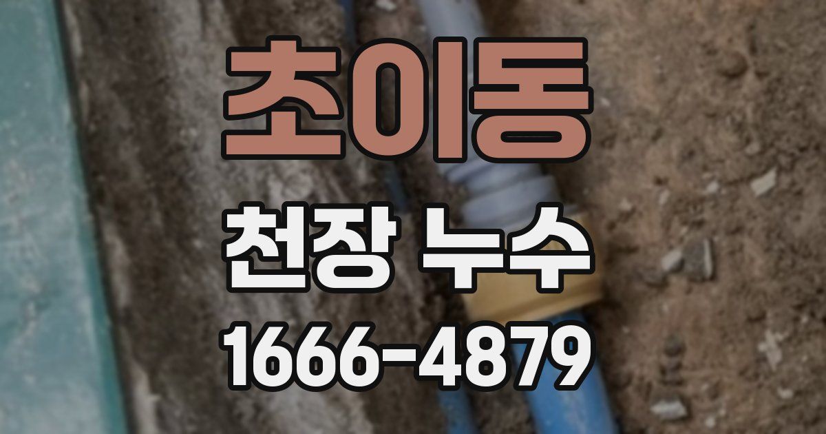 초이동 천장 누수