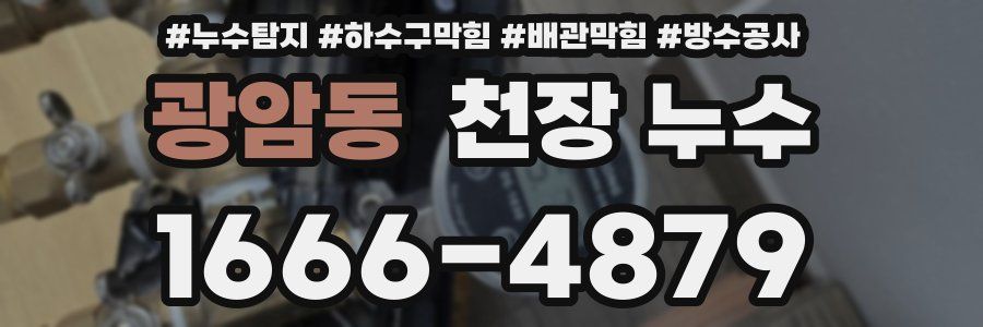 광암동 천장 누수