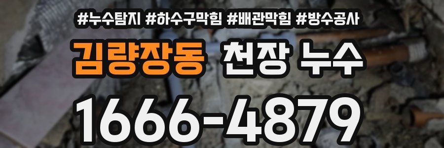 김량장동 천장 누수