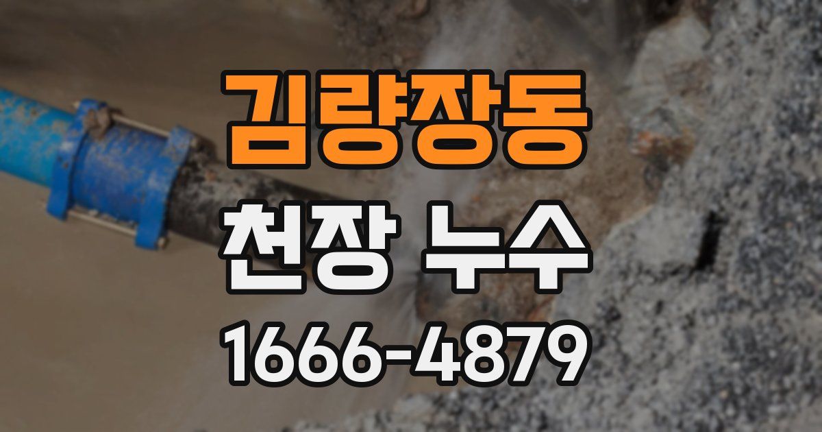 김량장동 천장 누수