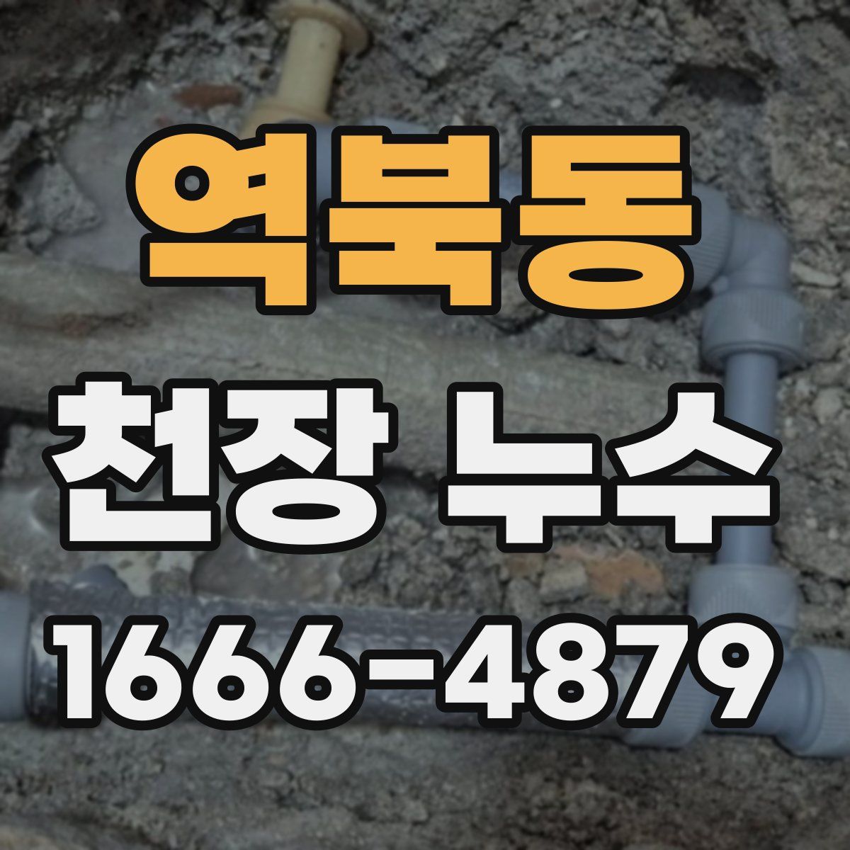 역북동 천장 누수