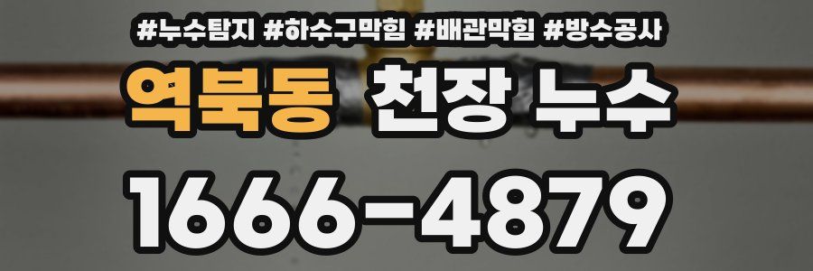 역북동 천장 누수