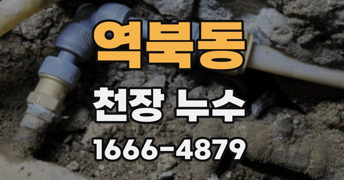 역북동 천장 누수